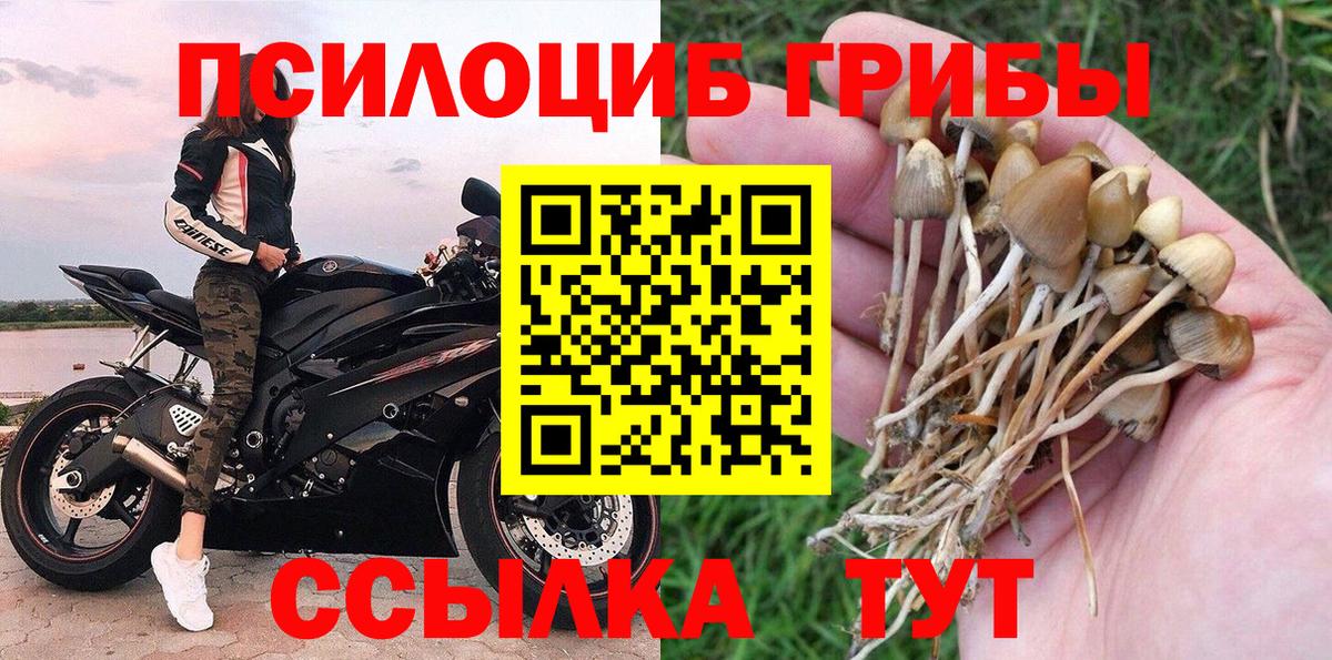 Галлюциногенные грибы мицелий Губкинский