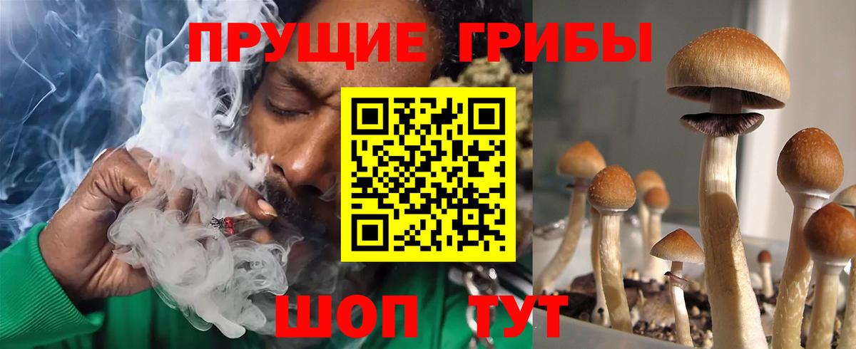 Губкинский  Галлюциногенные грибы Cubensis  Вход с VPN  Галлюциногенные грибы ЛСД 